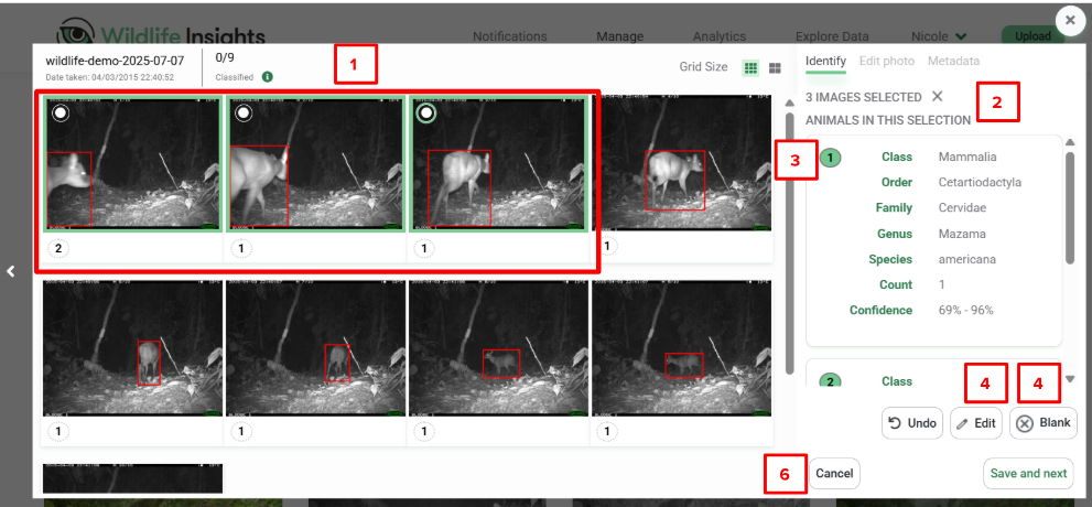 Screenshot o an image burst showing the bulk select and edit options