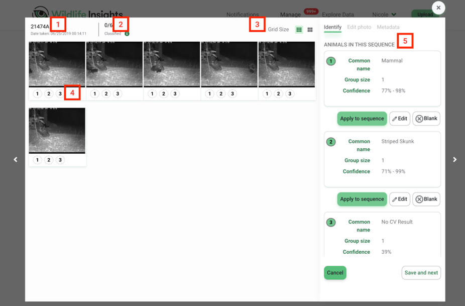Screenshot of the review identification window for image sequences
