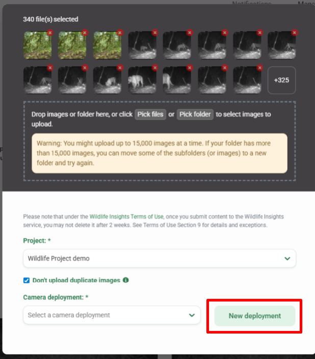 Screenshot of the image upload screen showing the New deployment button