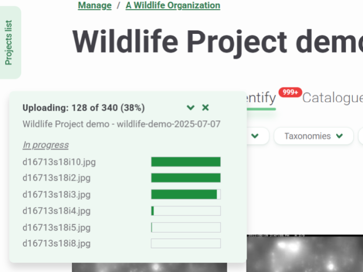 Screenshot of the image upload progress window