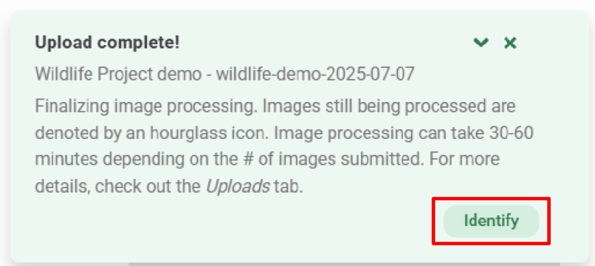 Screenshot of the 'Upload complete!' message in the image upload progress window.