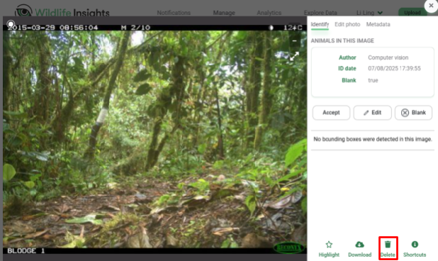 Screenshot of the Identify tool showing the single image delete option