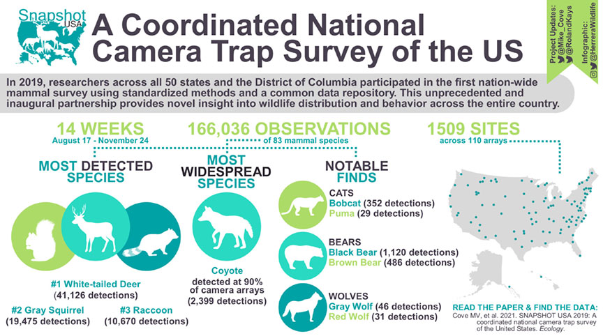 A coordinated National Camera Trap Survey of the US