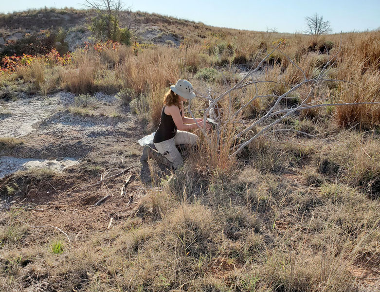 Researcher in the field with camera