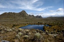 Parque Nacional Natural Chingaza