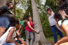 Citizen scientists at work