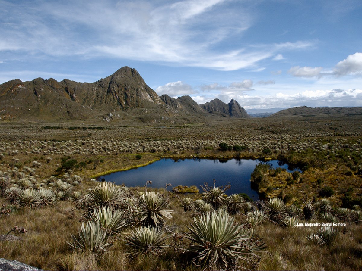 Parque Nacional Natural Chingaza