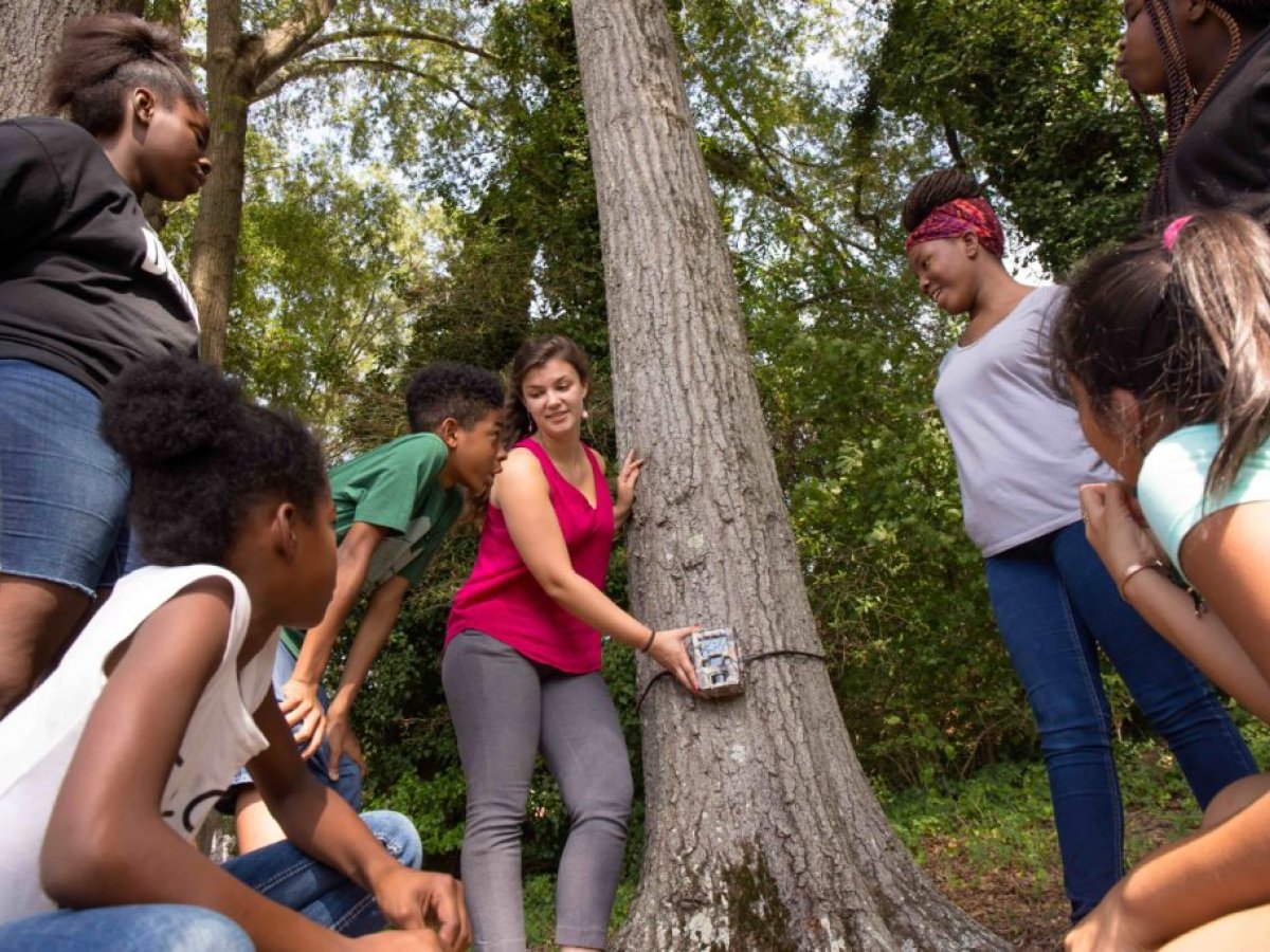 Citizen scientists at work