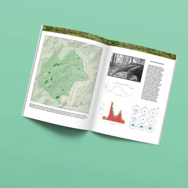 Google launches Wildlife Insights to help manage the world's wildlife